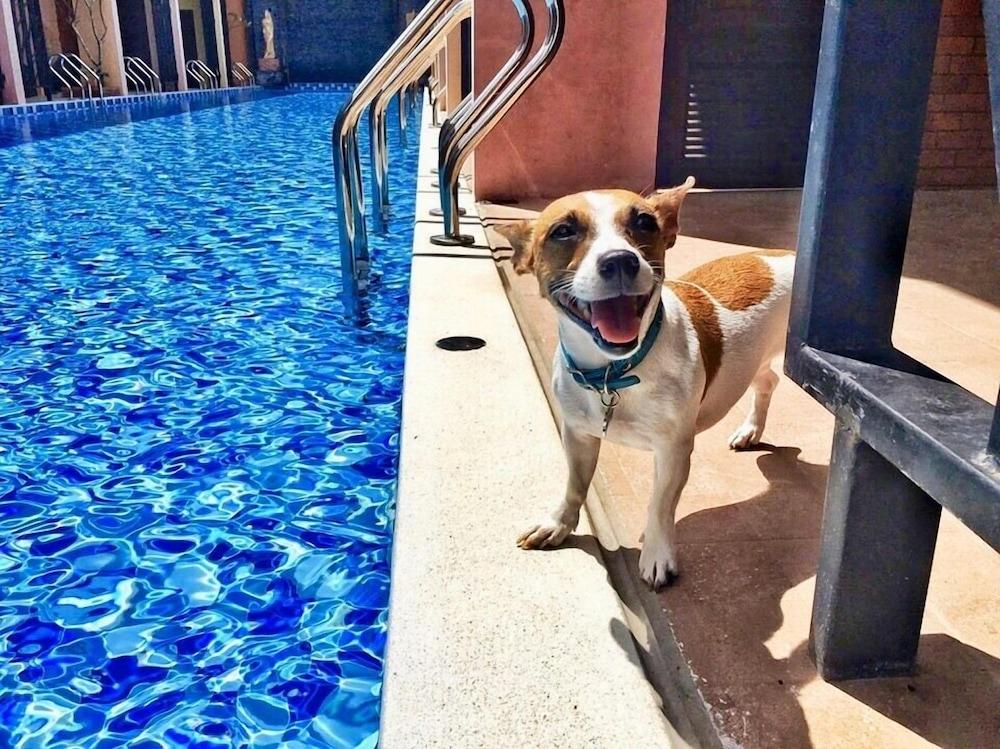 מלון Baan Noppadol Hua Hin Loft מראה חיצוני תמונה